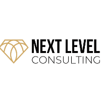 Next Level Consulting GmbH in Geesthacht - Logo