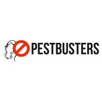 Schädlingsbekämpfung Pestbusters UG (haftungsbeschränkt) in Kamen - Logo