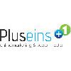 Pluseins - onlinemarketing & social media in Fulda - Logo