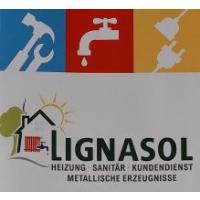 Lignasol Inh. Christian Heß in Wutha Farnroda - Logo