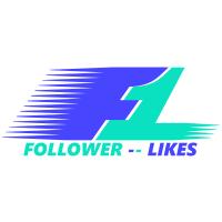 ‘Follower-Likes’ Social Media Agentur in Neubrandenburg - Logo