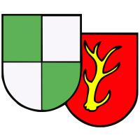 TuS Grün-Weiß Himmelsthür e. V. in Himmelsthür Stadt Hildesheim - Logo