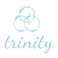 trinity Sport- und Massagetherapie Frankfurt am Main in Frankfurt am Main - Logo