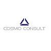 Cosmo Consult BI GmbH in Würzburg - Logo