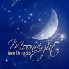 Moonnight Wellness Erotische Massagen in Bad Vilbel - Logo
