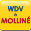 WDV-Molliné GmbH - Wasserzähler - Wärmezähler - Heizkostenabrechnung in Stuttgart - Logo