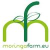moringafarm GmbH in Hannover - Logo