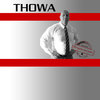Straffrei durch Selbstanzeige THOWA Consulting in Gutach im Breisgau - Logo