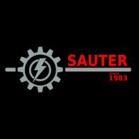 Michael Sauter Elektroinstallation in Weißenhorn - Logo