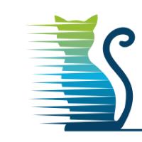 Stormcat Interactive, Martin Willert in Östringen - Logo