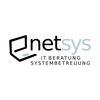 Netsys Beratungs GmbH in Mauerstetten - Logo